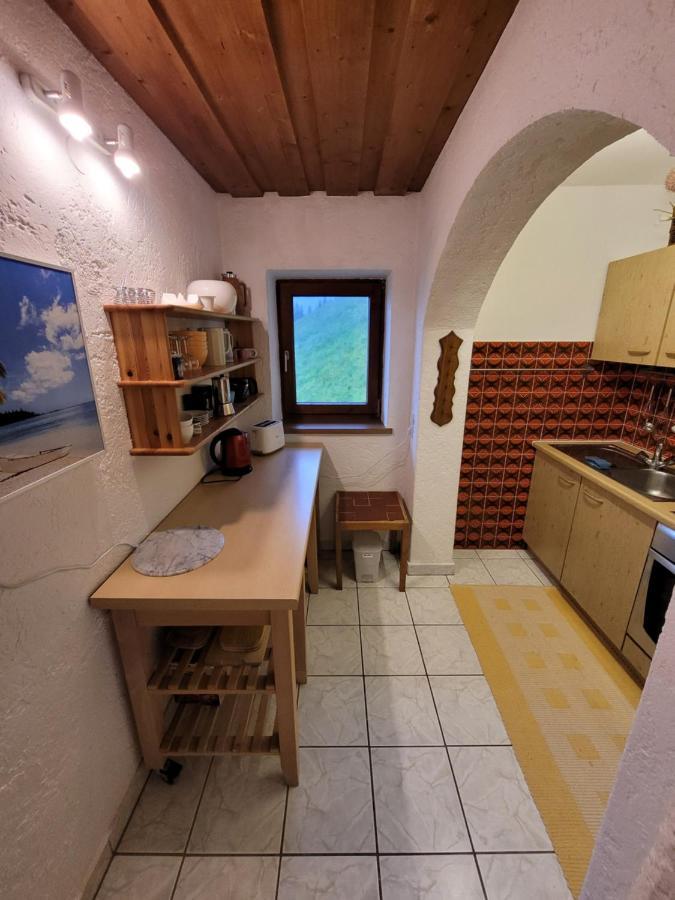 Haus Bergleiten Appartement Alpbach Buitenkant foto
