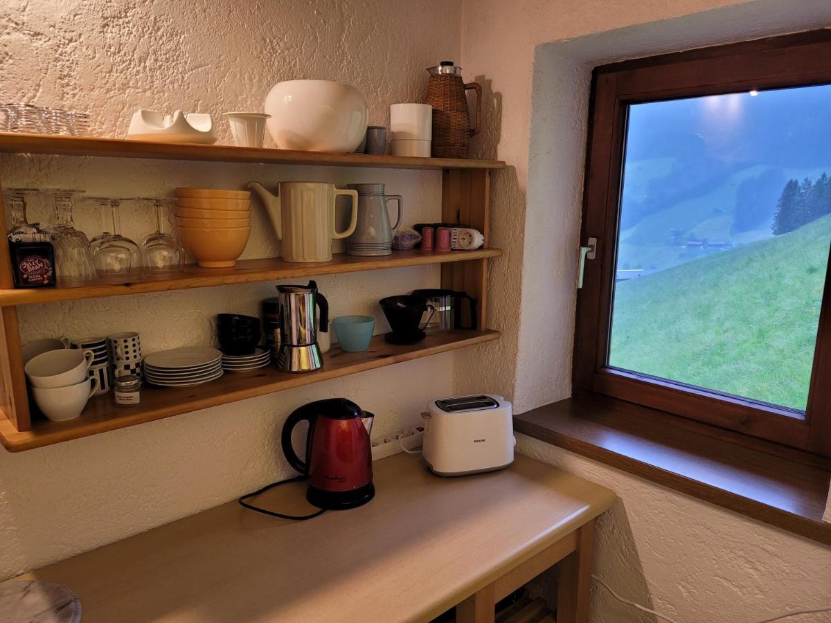 Haus Bergleiten Appartement Alpbach Buitenkant foto